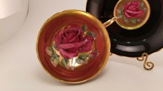 RARE Paragon Pink Floating Rose,  Gold/Black,  Teacup & Saucer 2