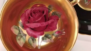 RARE Paragon Pink Floating Rose,  Gold/Black,  Teacup & Saucer 3