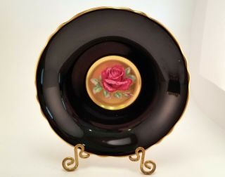 RARE Paragon Pink Floating Rose,  Gold/Black,  Teacup & Saucer 5