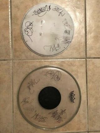 Two Drumheads Signed And By All Members Of The Avett Brothers Band