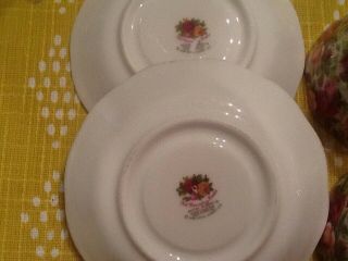 Royal Albert Old Country Roses CHINTZ 9
