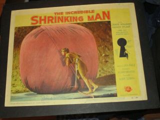 The Incredible Shrinking Man / Signed / 1957 / Universal Pictures / Lobby Card