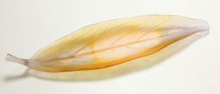 Daum " Plumier Feuille Herbier " Pate De Verre Crystal Trinket Leaf Dish Bowl