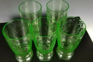 5 Scarce Green Depression Water Glasses Parrot Federal tumbler 5 1/2” 12oz 5