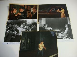 Rebel Without A Cause Lobby Stills 1955 Rare