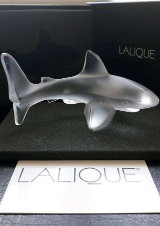 Rare Non Paradise Resort Lalique Shark No Fish,  Shark Figure Clear 10375200 Bnib