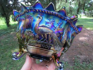 Northwood Peacock At The Ftn Antique Carnival Glass Ftd Fruit Bowl Blue Gorgeous