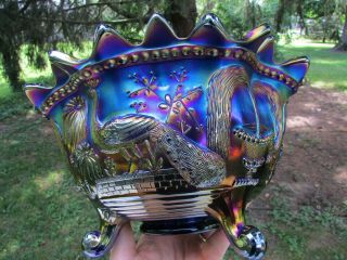 Northwood PEACOCK AT THE FTN ANTIQUE CARNIVAL GLASS FTD FRUIT BOWL BLUE GORGEOUS 3
