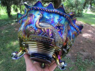 Northwood PEACOCK AT THE FTN ANTIQUE CARNIVAL GLASS FTD FRUIT BOWL BLUE GORGEOUS 8