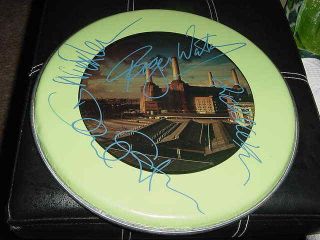 Pink Floyd Signed Auto Drum Head Roger Waters David Gilmour Nick Mason Wrigh
