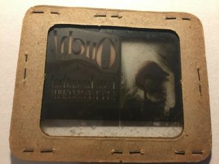 Extremely Rare Movie Magic Lantern Slide Stereoscope Ouch 3 - D Movie from 1925 3