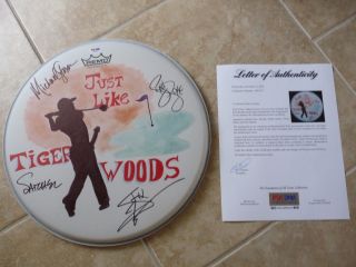 Steel Panther Just Like Tiger Woods Signed Autograph 14 " Drumhead Psa Certified