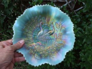 Carnival Glass.  Northwood Aqua Opalescent Peacocks On The Fence Bowl.  Ex.