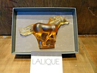 Stunning Lalique Amber Kazak Galloping Horse - Boxed And Signed