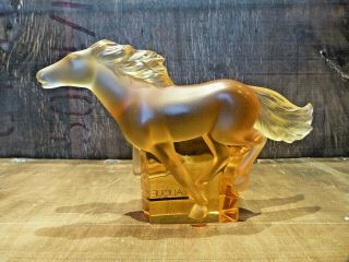 Stunning Lalique Amber Kazak galloping horse - Boxed and Signed 4