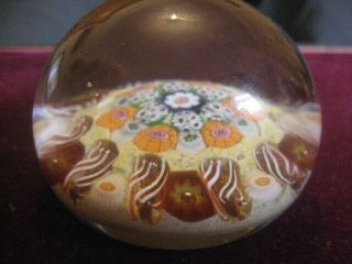 PAUL YSART YELLOW BACK GROUND WITH DAISY CANE PAPERWEIGHT 3