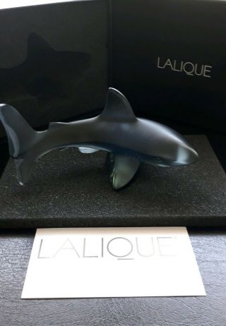 Rare Non Paradise Resort Lalique Shark Not Fish,  Grey Shark Figure 10018900 Bnib