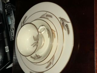 Lenox Service For 12 Harvest Wheat Dinner Plate/salad/bread&butter/cup&saucer