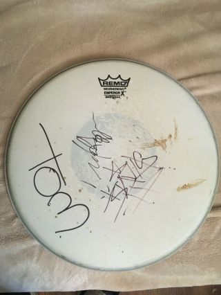 Blink 182 Memorabilia Authentic Played And Signed Drum Head