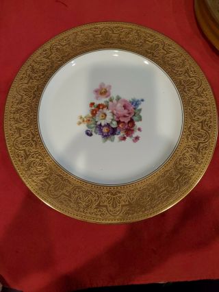 Heinrich & Co Selb Bavaria H & C Gold Encrusted Floral Dinner Plates Set Of 10