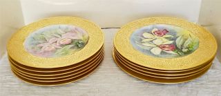 Set Of 11 Heinrich & Co Selb Bavaria H & C0 Gold Encrusted Floral Dinner Plates