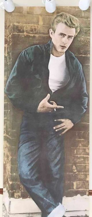 Bl067 James Dean Against Wall Poster - 26 " X 74.  5 ".  1985.