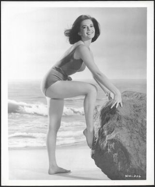 Vintage 1960s Bathing Beauty Pin - Up Natalie Wood Radiant Ravishing Photograph Nr