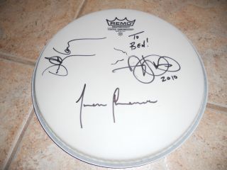 Tool Band Signed 10 " Drumhead X 3 Members Adam Danny & Justin