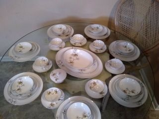 Pinecone Design North Woods Contour China 42 Piece Set With 11 Replacements
