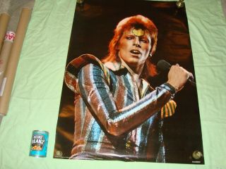 David Bowie.  Ziggy Stardust Poster In