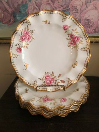 Royal Crown Derby " Royal Rinxton Roses " Handpainted Wavy Set Of 6 Dinner Plate