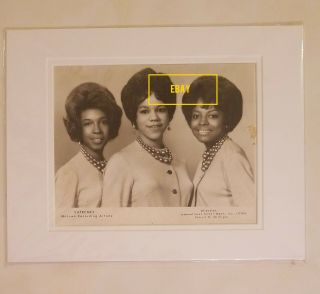Supremes Diana Ross Early Promo Photo International Talent Management