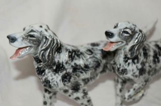 Rosenthal Germany Porcelain English Setter Group Dog Figurine Heidenreich