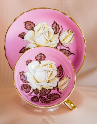 Stunning Rare Pink Paragon With Large White Rose Tea Cup Teacup Set