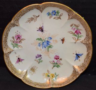 Rare Antique Meissen Porcelain Demitasse Cup and Saucer with Raised Flowers 8