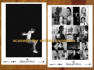 The Goldfinch Rare Press Photo Set Of 35 Stills Ansel Elgort Nicole Kidman