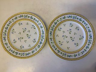 Vtg Limoges Raynaud “Morning Glory” Porcelain 8 Dinner Plates with Floral Dec. 2