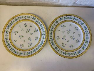 Vtg Limoges Raynaud “Morning Glory” Porcelain 8 Dinner Plates with Floral Dec. 3