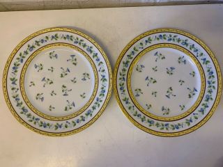 Vtg Limoges Raynaud “Morning Glory” Porcelain 8 Dinner Plates with Floral Dec. 4