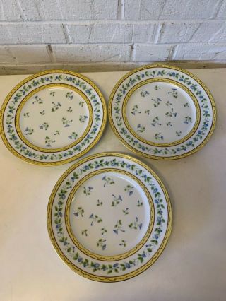 Vtg Limoges Raynaud “Morning Glory” Porcelain 8 Dinner Plates with Floral Dec. 5