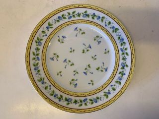 Vtg Limoges Raynaud “Morning Glory” Porcelain 8 Dinner Plates with Floral Dec. 6