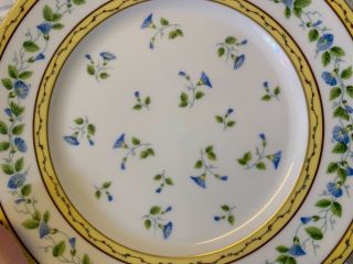 Vtg Limoges Raynaud “Morning Glory” Porcelain 8 Dinner Plates with Floral Dec. 7