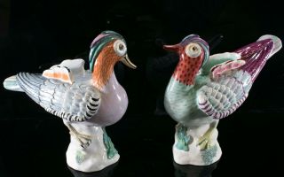 Royal Crown Staffordshire Chinese Bird M.  Doubell Miller