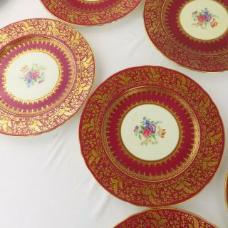 12 Aynsley Dark Red & Gilt Dinner Plates Hand Painted Bone China Floral Spray 10