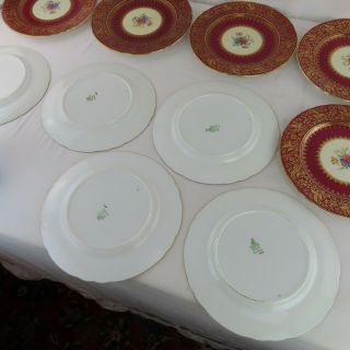 12 Aynsley Dark Red & Gilt Dinner Plates Hand Painted Bone China Floral Spray 11