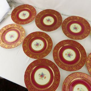 12 Aynsley Dark Red & Gilt Dinner Plates Hand Painted Bone China Floral Spray 8