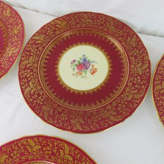 12 Aynsley Dark Red & Gilt Dinner Plates Hand Painted Bone China Floral Spray 9