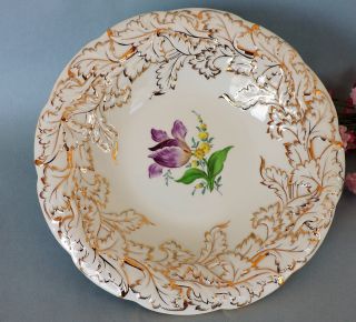 Meissen Decorative 10 " Cabinet Plate/ Bowl