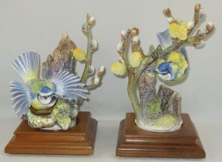 1964 Royal Worcester Dorothy Doughty " Blue Tits & Pussywillow " With Bases