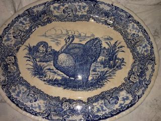 Antique Turkey Oval Serving Platter Blue & White Rn Staffordshire England Rare